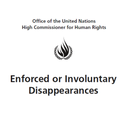 THE UN-WGEID BRIEFED ON Enforced disappearances in BALOCHISTAN
